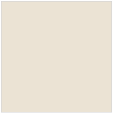 600 X 600 mm Crema Polished Vitrified Floor Tile - Polished Finish