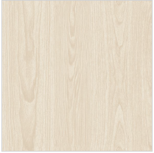 600 X 600 mm Spicebush Polished Vitrified Floor Tile - Polished Finish
