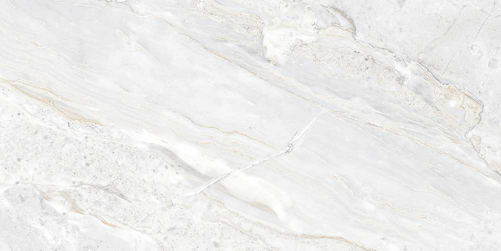 600 X 1200 mm Rizina Grey A Glazed Vitrified Floor Tile - Polished Finish