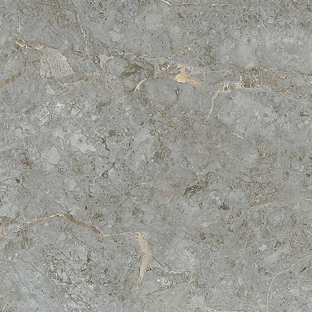 800 X 800 mm Williams Grey Glazed Vitrified Tile - Polished Finish