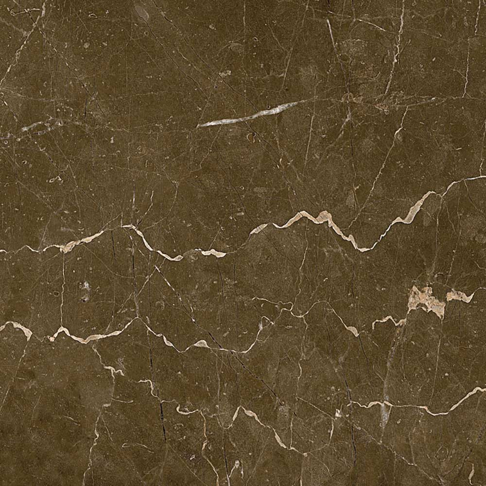 800 X 800 mm Armani Brown Glazed Vitrified Tile - Premium Polished Finish
