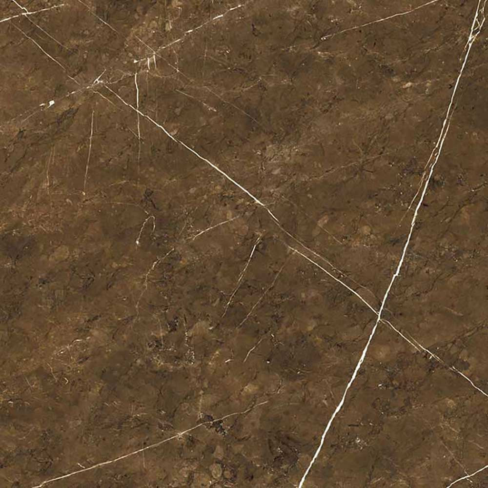 800 X 800 mm Marquina Bronce Glazed Vitrified Tile - Premium Polished Finish