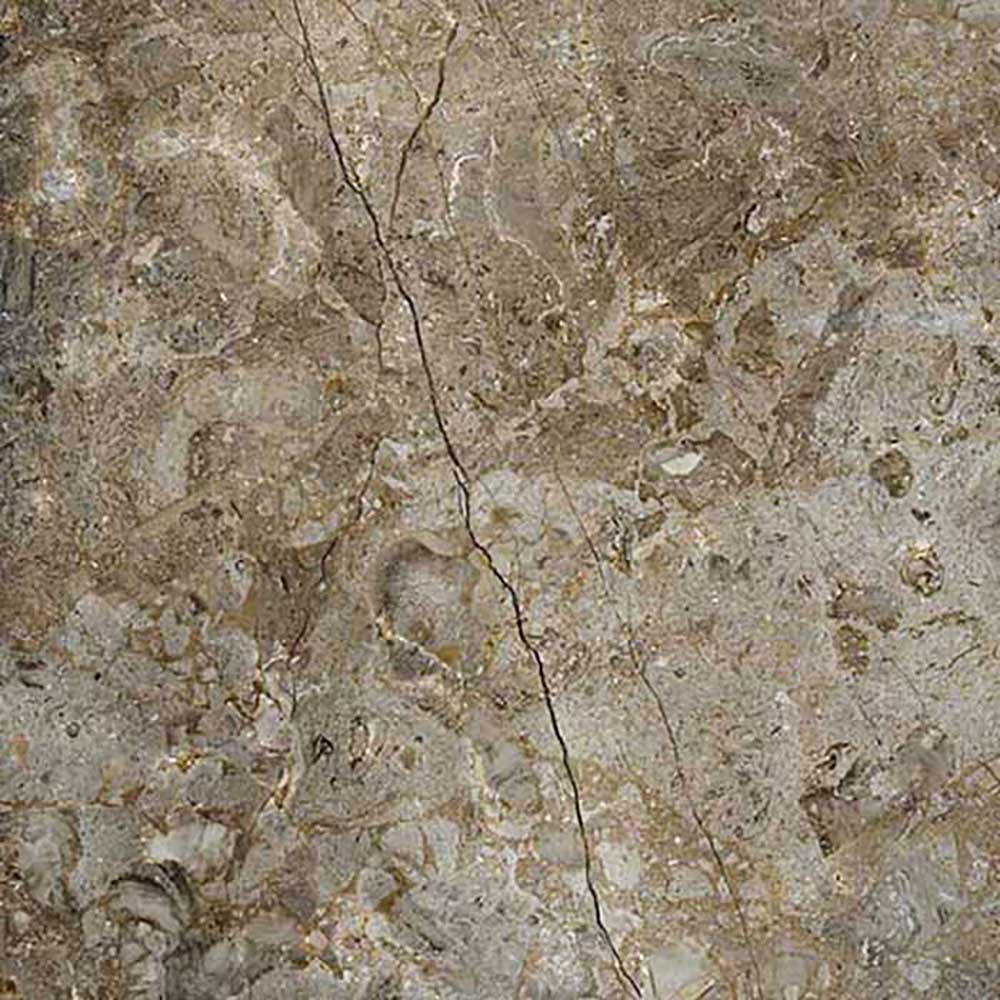 800 X 800 mm Sahara Bronce Glazed Vitrified Tile - Premium Polished Finish