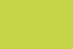 18 mm Thick 9' X 6' Parrot Green Exterior Grade One Side Raw (RG) Particle Board 1119