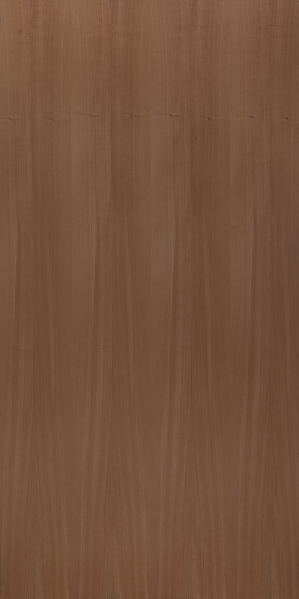 0.5 mm Thick Anegre Ivory Close Pore Natural Veneer - Matt Finish (8Ft X 4Ft)