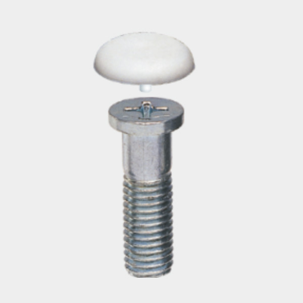20 mm Dia M10 Philip Head Screw and Cap – White – PF-F (Set of 200 pcs)