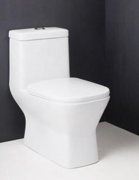 Element S Trap (22 cm) One Piece Water Closet Star White 92084 (Italian Collection)