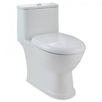 Essence S Trap (22 cm) One Piece Water Closet Star White 92529 (Italian Collection)