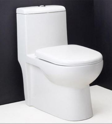 Inox S Trap (22 cm) One Piece Water Closet Star White 92087 (Italian Collection)