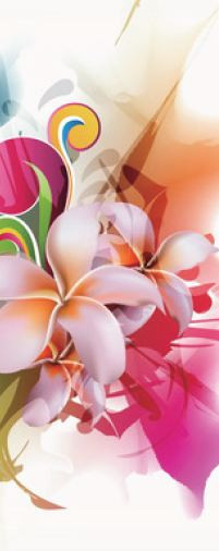 80 cm X 210 cm Full Glass Model UPVC Door Rose Wood Matte Finish UPVC003