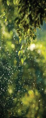 85 cm X 210 cm Full Glass Model UPVC Door White Matte Finish UPVC012