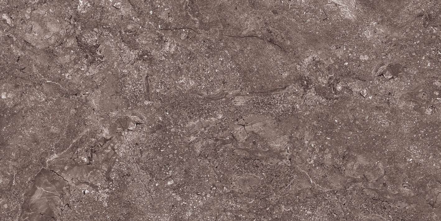 1200 X 600 mm Manelia Choco Vitrified Floor Tile - High Glossy Finish
