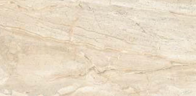 600 X 1200 mm Silvia Glazed Vitrified Tile - Polished Finish