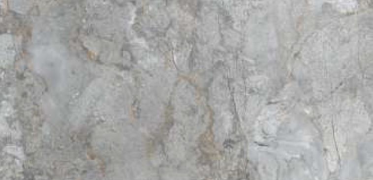 600 X 1200 mm Williams Grey Glazed Vitrified Tile - Polished Finish