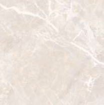 600 X 600 mm Ciscon Glazed Vitrified Floor Tile - Polished Finish