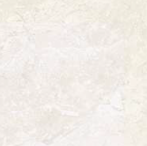 600 X 600 mm Royal Dyna Glazed Vitrified Floor Tile - Polished Finish