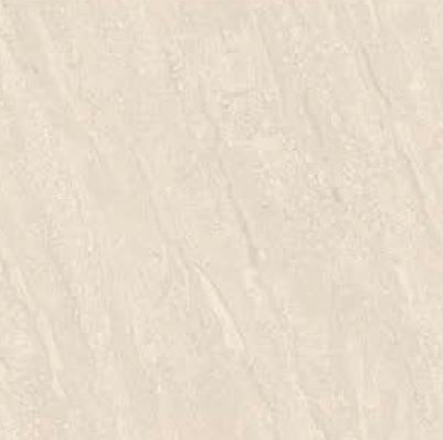 600 X 600 mm Dyna Soluble Salt Vitrified Floor Tiles - Glossy Finish