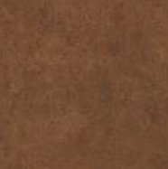 300 X 300 mm SDM Inspire Brown FL Ceramic Floor Tile - Matte Finish 