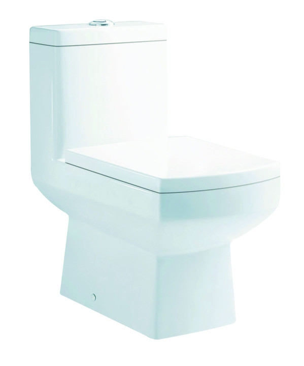 Qube X 650 x 360 x 725mm S Trap (110mm) One Piece Water Closet White - C847H