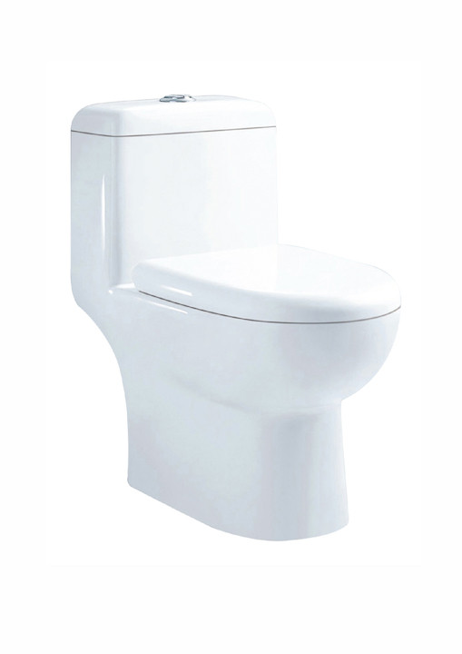 Opula 645 x 365 x 705mm P Trap (180mm) One Piece Water Closet White - C847L