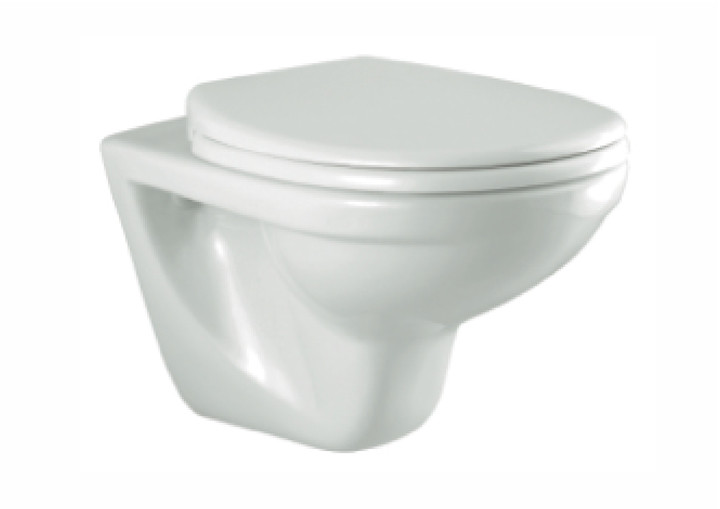 Havana N 540 x 360 x 350mm Wall Hung Water Closet with Soft Close Seat Cover White - C0267