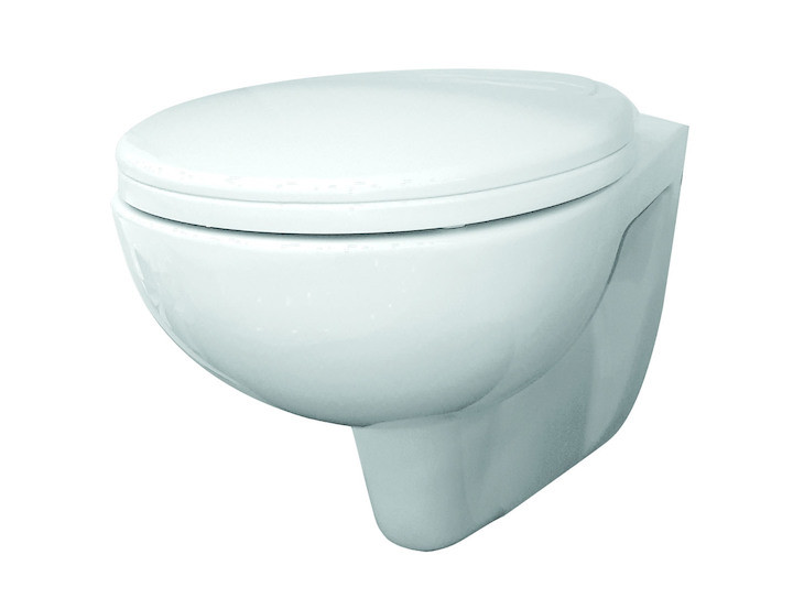 Cute 480 x 360 x 350mm Wall Hung Water Closet with Soft Close Seat Cover White - C8846
