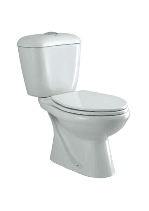Bristol N 700 x 390 x 775mm S Trap (220mm) Floor Mounted Water Closet with Dual Flush Cistern White (Full Set - C0294, C0760 )