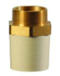 15 mm C-PVC Male Threaded Adapter (Brass) SDR11 MC2P1MTA001I