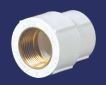 25 mm High Pressure ASTM Female Threaded Adapter - Brass SCH80 MP2G8FTA003E