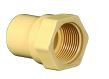 25 mm C-PVC Female Threaded Adapter SDR11 MC1P1FTA003I