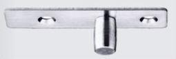 Top Pivot with SS Plate - Stainless Steel