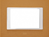 2 Module  Metal Cover Plate Gold 66902GD