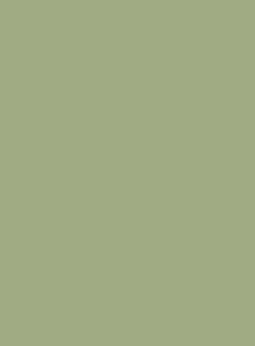 276 1.0 mm Pista Green Solid Laminate (8Ft X 4Ft)