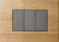 2 Module Wood Plate without Grid Frame Beige Wood CB92102FB04