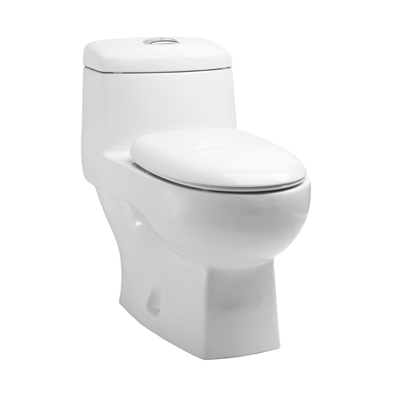 Canora 705 X 380 X 660 mm S Trap (220 mm) One Piece Water Closet with Cistern White- WCR1101SW