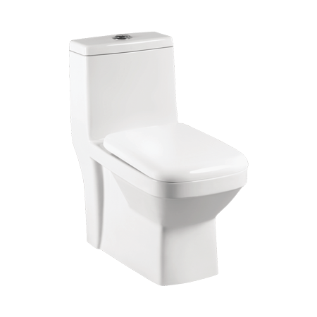 Pristine 690 X 355 X 730 mm S Trap (220mm) One Piece Water Closet with Cistern White- WPR1101SW