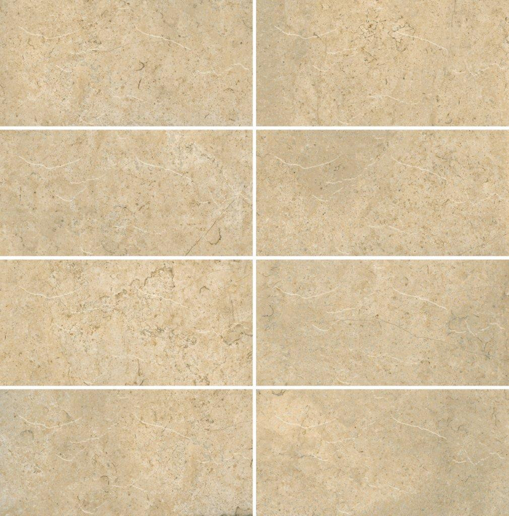 300 x 600 mm Enchanting Bruno Digital Glazed Vitrified Wall Tile - Matt Finish
