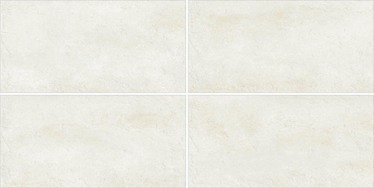 300 x 600 mm Silk Elegant Bruno Digital Glazed Vitrified Wall Tile - Matt Finish