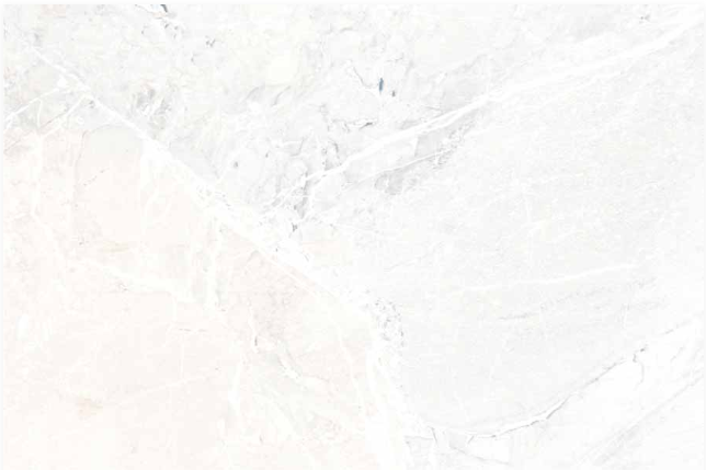 250 X 375 mm Sarina LT Ceramic Wall Tile T811028LA - Glossy Finish