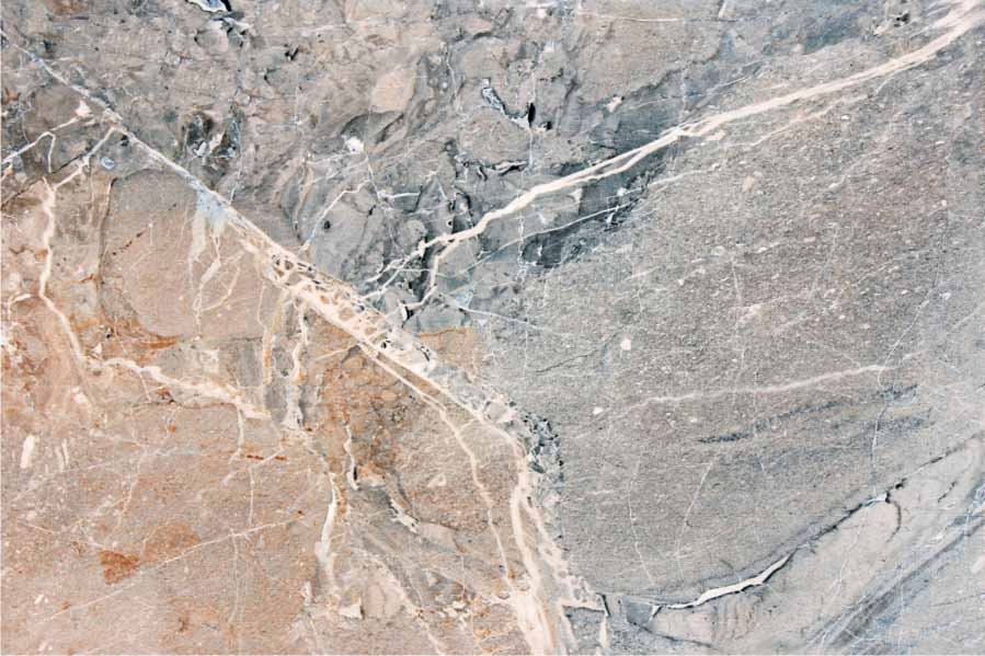 250 X 375 mm Sarina DK Ceramic Wall Tile T811028DA - Glossy Finish