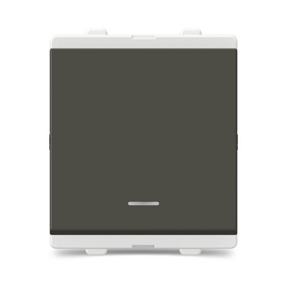 32A 2 Module Double Pole Switch with Indicator Grey CPX32DP2M_GY