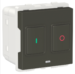 25A 2 Module Motor Starter Switch Grey CPXMTSTART2M_GY