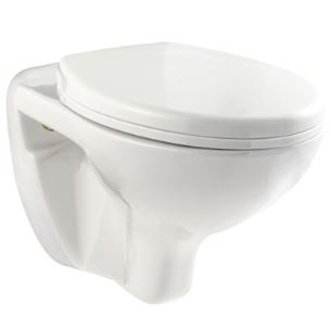 Flora P Trap (23 cm) Wall Hung Water Closet Star White 20098