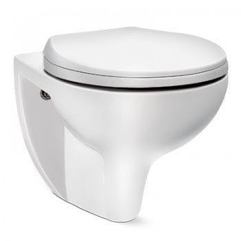 Mario Rimless P Trap (23.5 cm) Wall Hung Water Closet Star White 20105