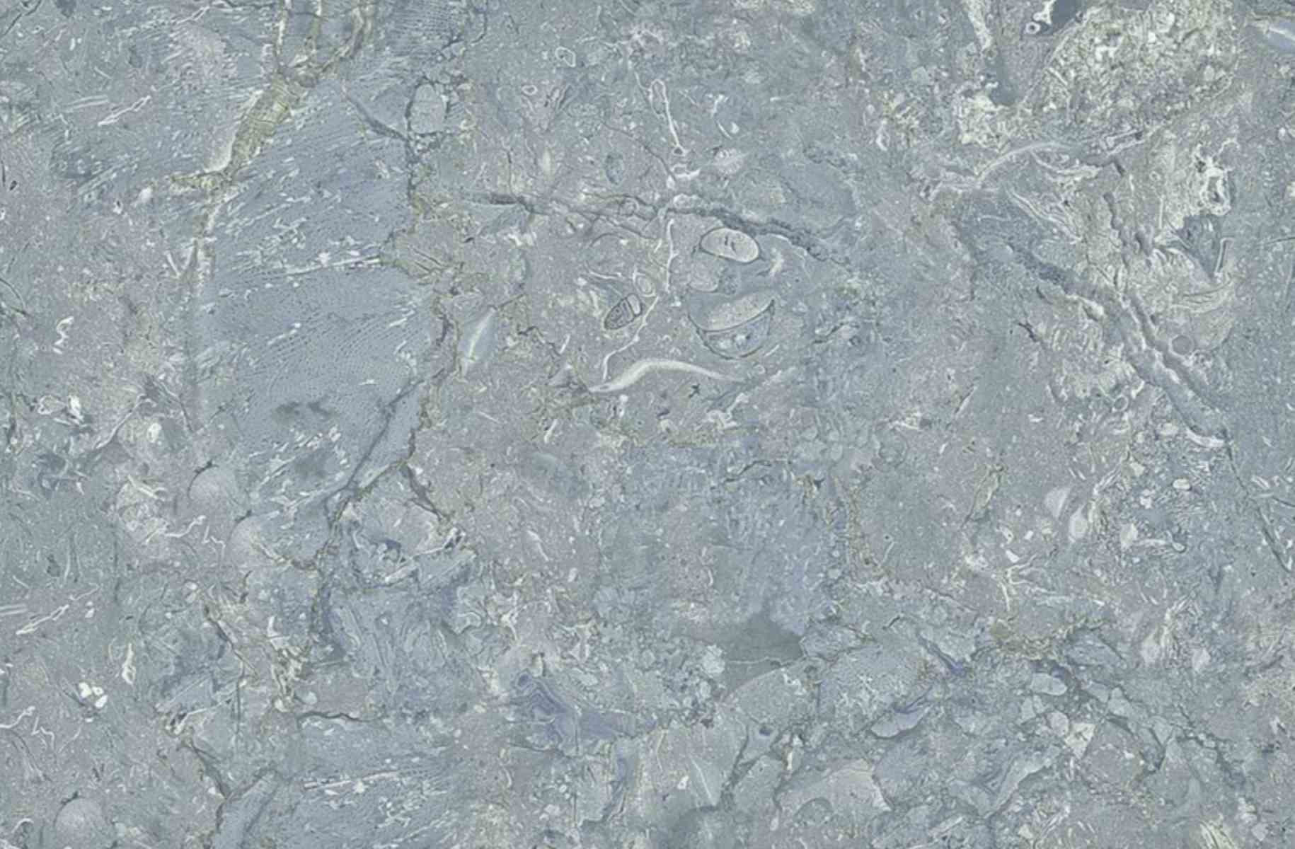 300 x 450 mm Torino 55005 Dark Digital Ceramic Wall Tile - Glossy Finish