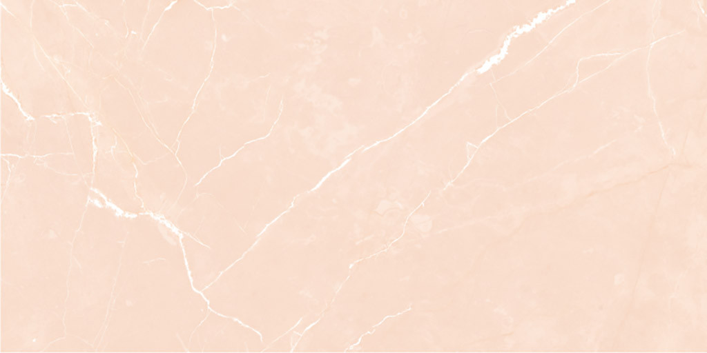 300 X 600 mm Clado LT Digital Ceramic Wall Tile - Plazma Finish