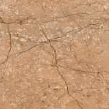 300 X 300 mm F-Vivo Mushroom Digital Ceramic Floor Tile - Matt Finish