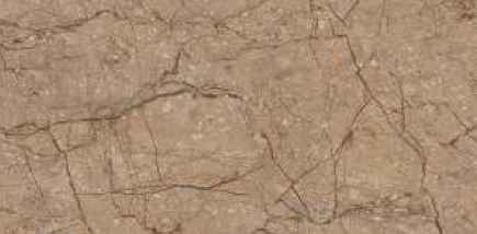 300 X 600 mm Vivo Mushroom Digital Ceramic Wall Tile - Glossy Finish