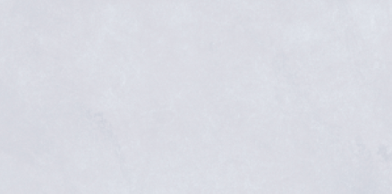 300 X 600 mm Naos Grey Light Digital Ceramic Wall Tile - Satin Matt Finish