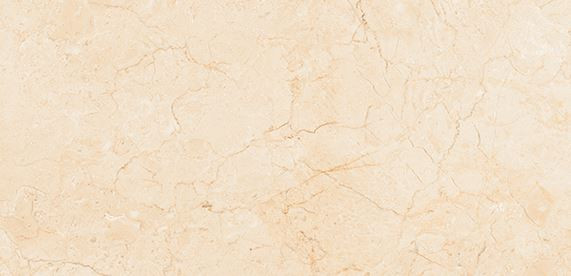 300 X 600 mm Vivo Baltico Crema FP Wall Tile - Full Polished Finish